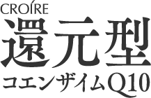 クロワールアイ・プロ